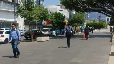 secretaría anticorrupción alerta por circulación de constancias falsas de no inhabilitación en chiapas