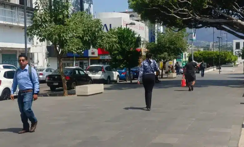 secretaría anticorrupción alerta por circulación de constancias falsas de no inhabilitación en chiapas