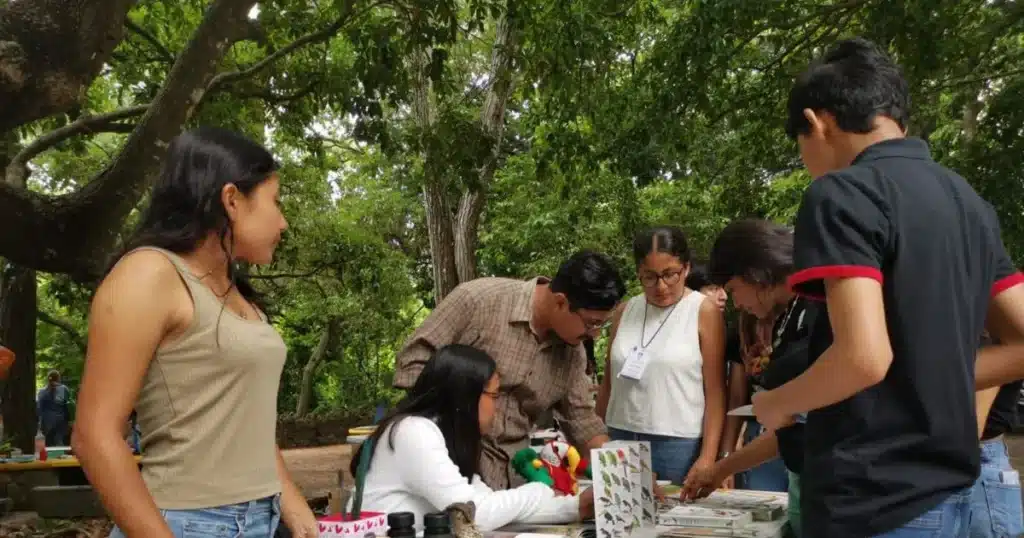 tuxtla gutiérrez, un paraíso para la observación de aves con más de 330 especies registradas (1)