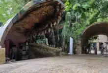 zoomat se transforma modernización fortalece conservación y experiencia de visitantes