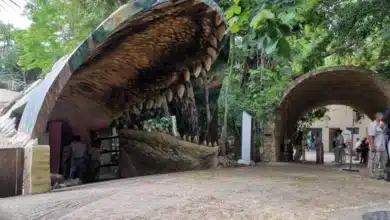 zoomat se transforma modernización fortalece conservación y experiencia de visitantes
