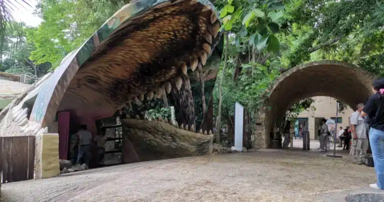 zoomat se transforma modernización fortalece conservación y experiencia de visitantes