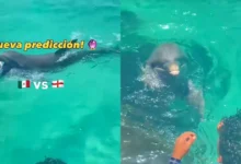 Predicción de México vs Inglaterra ilusiona a la afición (Foto de internet)