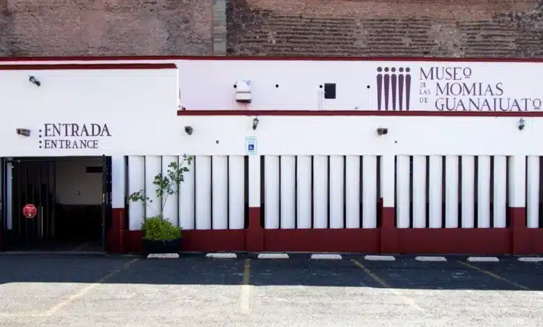 Momias de Guanajuato: una experiencia enigmática (Foto de internet)