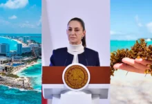 Anuncian a grupo de expertos que atenderá el tema de sargazo (Fotos de internet)