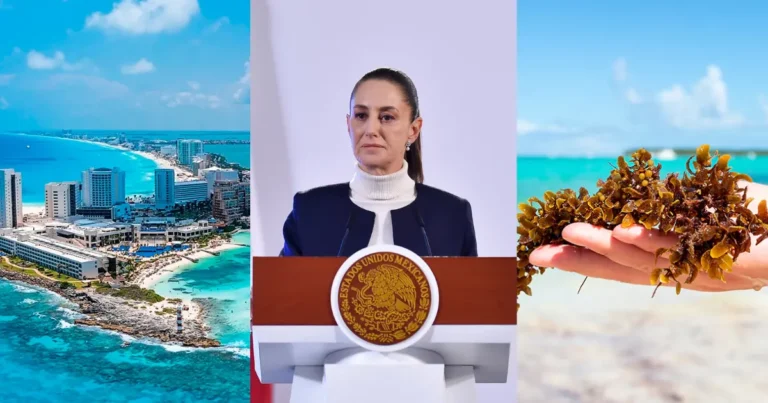 Anuncian a grupo de expertos que atenderá el tema de sargazo (Fotos de internet)