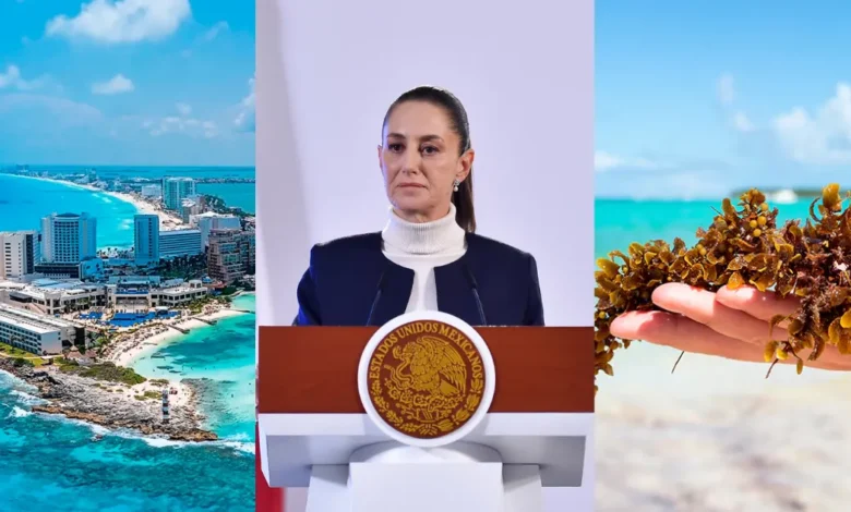 Anuncian a grupo de expertos que atenderá el tema de sargazo (Fotos de internet)