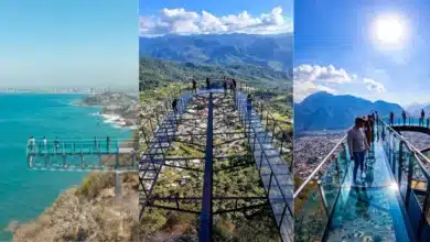 Tres miradores de México que te ofrecen vistas impresionantes (Fotos de redes sociales)