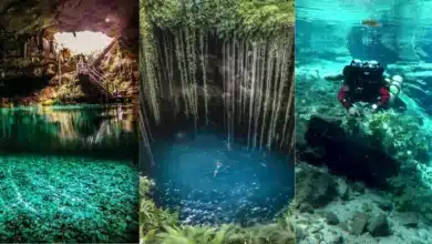 3 cenotes de Yucatán con aguas refrescantes y enigmáticos (Fotos de internet)