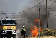 francia combate un devastador incendio forestal que ya consumió más de 2 mil hectáreas
