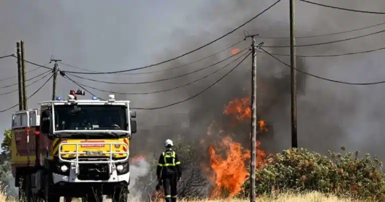 francia combate un devastador incendio forestal que ya consumió más de 2 mil hectáreas