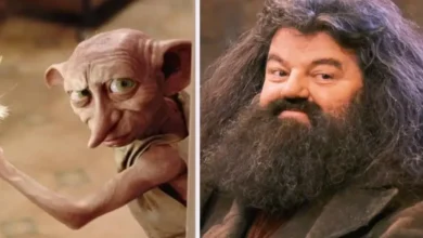 harry potter ampliará su universo con dos nuevos libros dedicados a hagrid y dobby