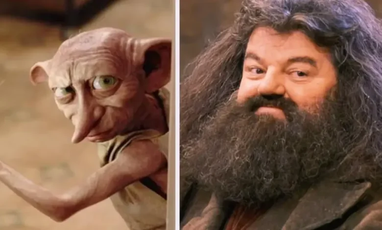 harry potter ampliará su universo con dos nuevos libros dedicados a hagrid y dobby