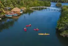 laguna de mandinga el destino de veracruz para disfrutar ostiones frescos y paseos entre manglares