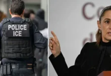 méxico solicita a la onu investigar la muerte de 17 mexicanos bajo custodia del ice en estados unidos