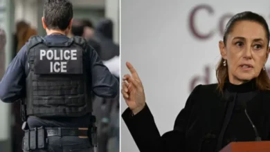 méxico solicita a la onu investigar la muerte de 17 mexicanos bajo custodia del ice en estados unidos