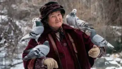 muere brenda fricker, la señora de las palomas de mi pobre angelito 2