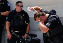 nueva york iguala récord de temperatura con 38 °c durante intensa ola de calor