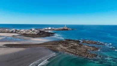 puerto lobos, el destino de sonora donde el desierto se encuentra con el mar