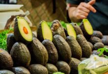 Aguacate y jitomate las frutas y hortalizas más exportadas en 2023