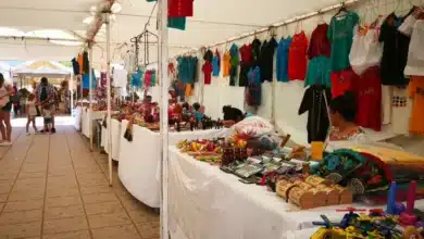 aumentan riesgos de ciberdelitos durante vacaciones y compras de regreso a clases