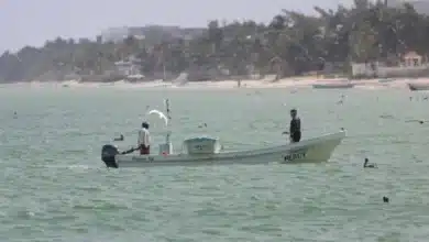 autoridades buscan a dos pescadores desaparecidos en las costas de tonalá