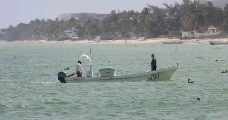 autoridades buscan a dos pescadores desaparecidos en las costas de tonalá