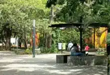 calzada de las personas ilustres, un espacio ideal para disfrutar en familia en el corazón de tuxtla