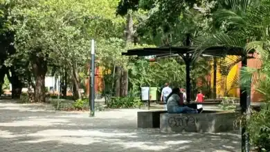calzada de las personas ilustres, un espacio ideal para disfrutar en familia en el corazón de tuxtla