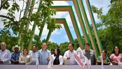 carretera palenque ocosingo avanza y busca conectar más comunidades de chiapas