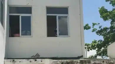 chiapas concentra la mayor actividad sísmica del país tras el terremoto de julio