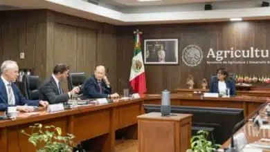 chiapas, pieza clave en la estrategia méxico eua para erradicar el gusano barrenador del ganado