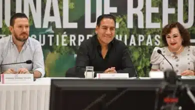 chiapas se sumará a la jornada nacional de reforestación convocan a sembrar vida este 9 de agosto