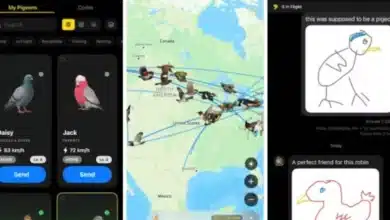 chiapas y roost la app que envía mensajes con aves virtuales