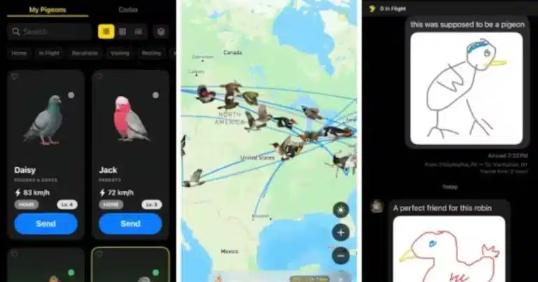 chiapas y roost la app que envía mensajes con aves virtuales