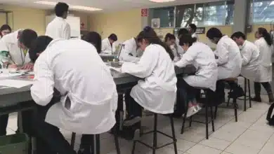 del 24 al 28 de agosto se realizarán depósitos rezagados a estudiantes que recibieron recientemente su tarjeta del banco del bienestar
