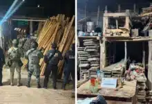 detienen a hombre durante cateo por presunto almacenamiento ilegal de madera en soyaló