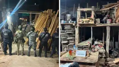 detienen a hombre durante cateo por presunto almacenamiento ilegal de madera en soyaló