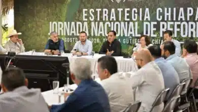 Eduardo Ramírez coordina acciones rumbo a la Jornada Nacional de Reforestación 2026