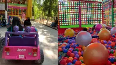 Convivencia Infantil de Tuxtla Gutiérrez (Foto de Convivencia Infantil)