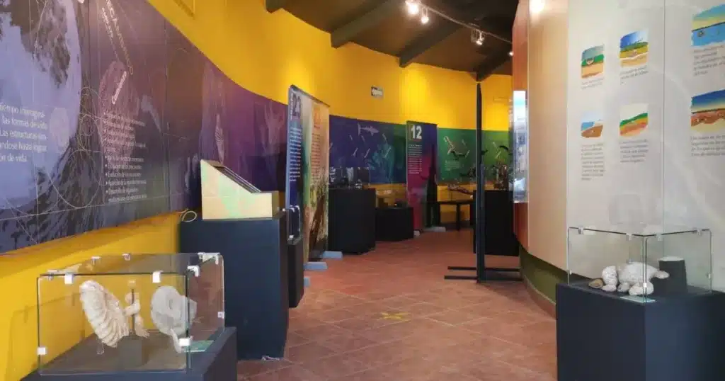 exposición de fósiles en chiapas ofrece una experiencia única para disfrutar en familia este fin de semana (1)