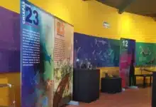 exposición de fósiles en chiapas ofrece una experiencia única para disfrutar en familia este fin de semana