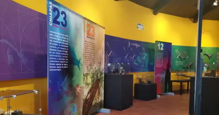 exposición de fósiles en chiapas ofrece una experiencia única para disfrutar en familia este fin de semana