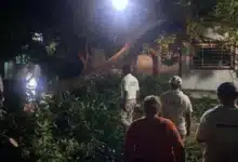 fuertes vientos y lluvias derriban al menos 20 árboles en mapastepec