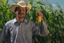 gobierno de chiapas activa seguro agrícola 2026 para atender daños por sequía en cultivos estratégicos