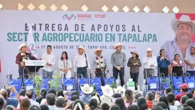 Gobierno de Eduardo Ramírez impulsa el campo y entrega apoyos en Tapalapa