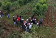 inicia dispersión de recursos de sembrando vida en chiapas