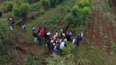 inicia dispersión de recursos de sembrando vida en chiapas