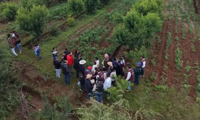 inicia dispersión de recursos de sembrando vida en chiapas