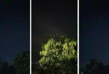 lluvia de estrellas ilumina el cielo de palenque durante la madrugada